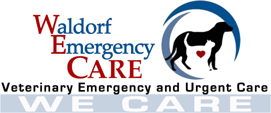 Waldorf Emergency Care – Veterinarian in Waldorf | Animal Hospital
